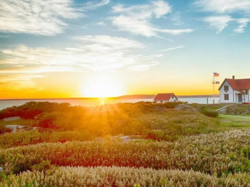 An Inside Look at What Goes into Building a Solar Farm
